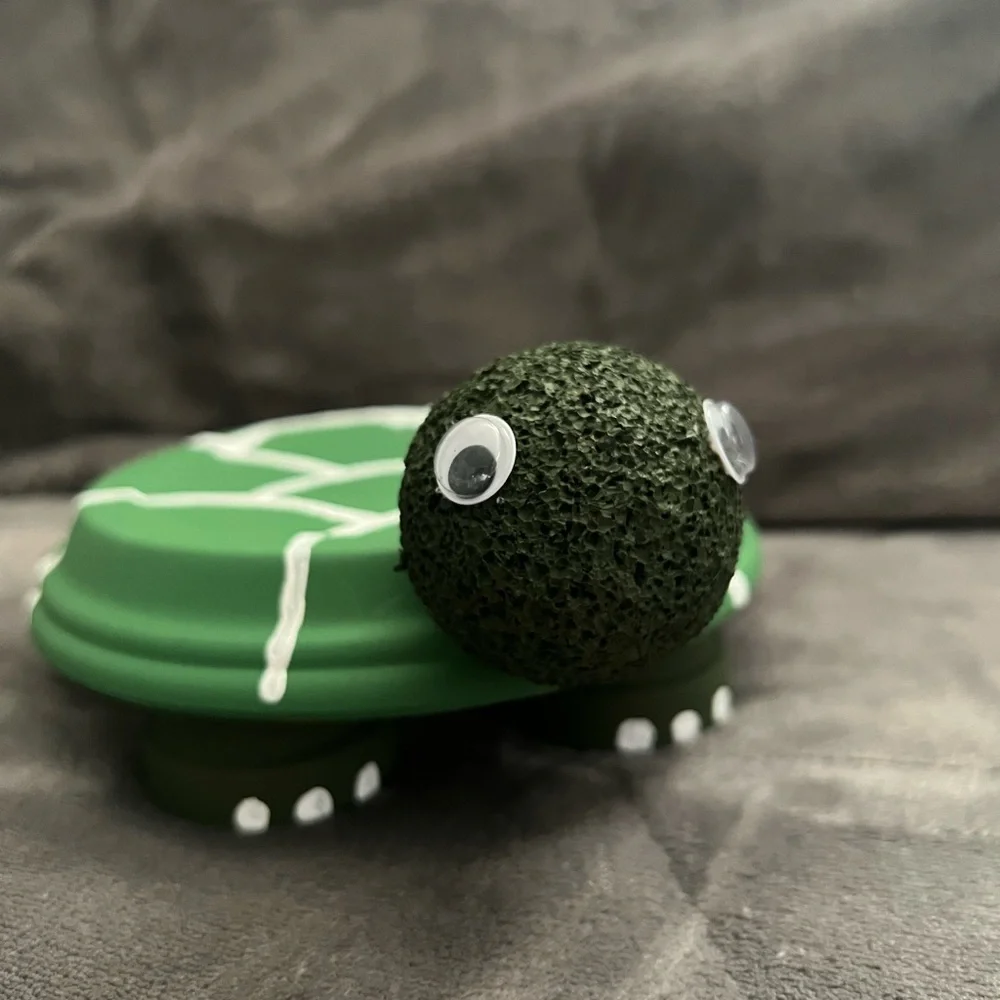 Green Turtle Plant Holder
